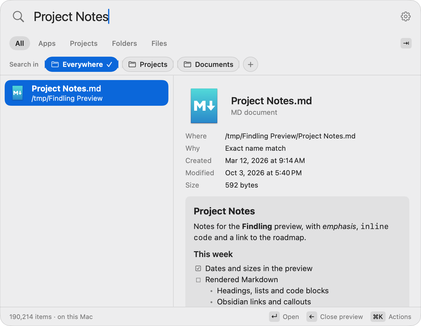 The preview beside the selected result: where the file is, why it matched, when it was created and modified, its size, and the file itself, rendered.